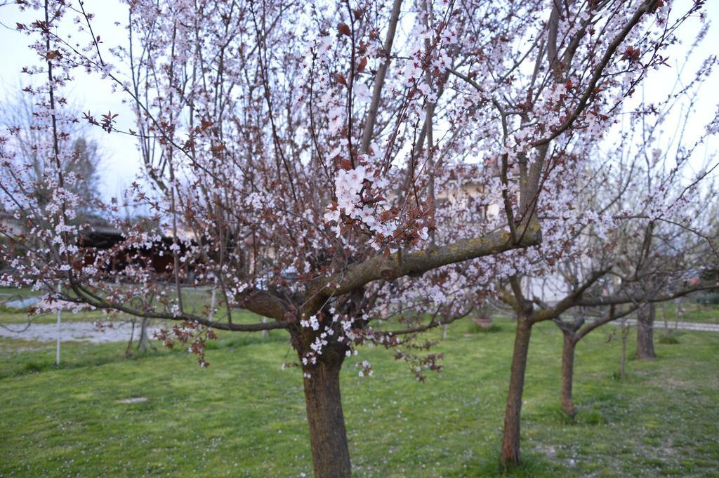 Appartamento Casa Della Nonna Noventa di Piave Exteriör bild